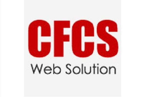 Computer Frontline Consultancy Services